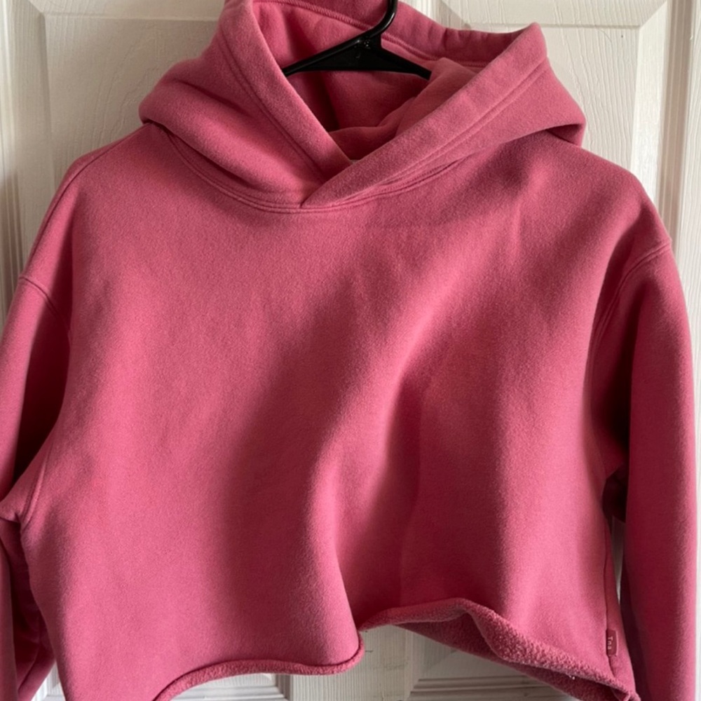 Aritzia TNA cropped hoodie